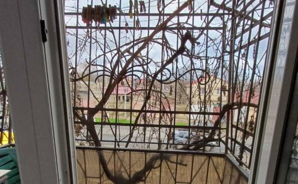 photo_8_2025-12-08_13-53-34