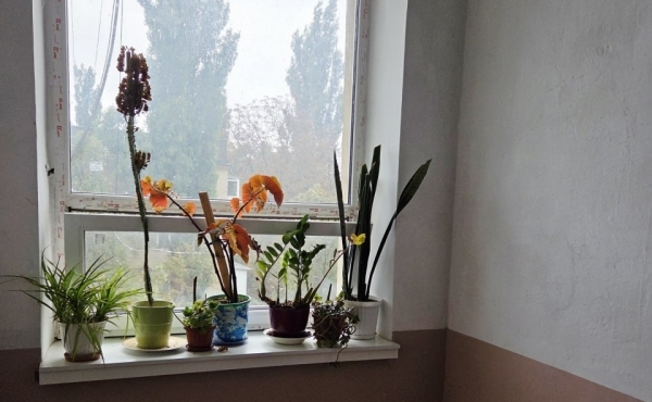 photo_6_2025-12-08_14-08-00